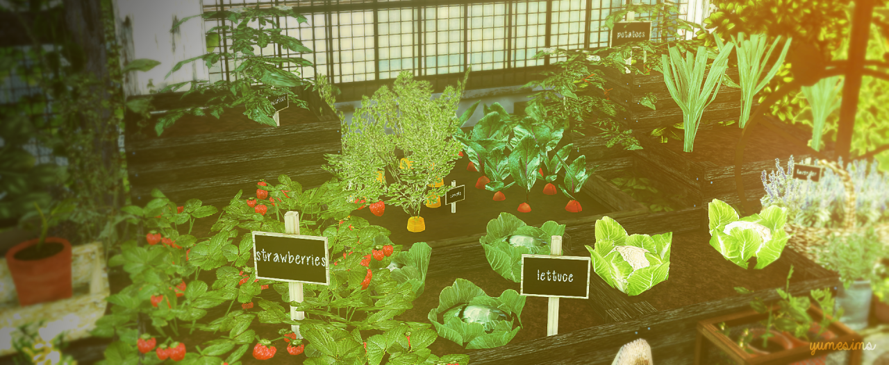 evolve all plants sims 4