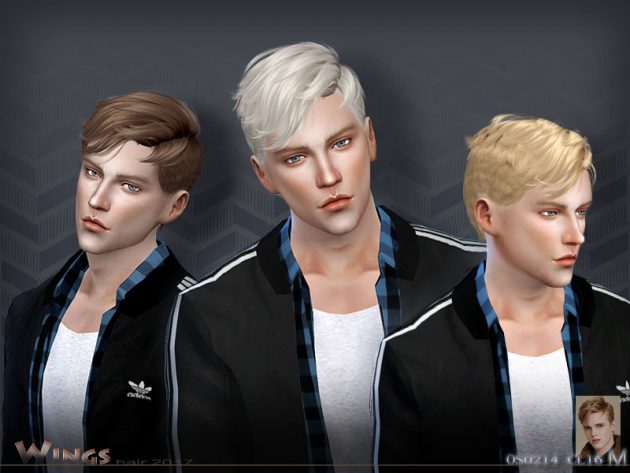 Male Hair By Wingssims Liquid Sims